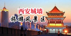 巨吊后入30p中国陕西-西安城墙旅游风景区